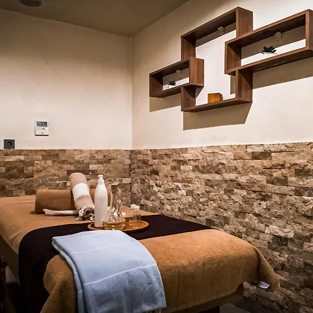 Angel's Park 酒店 代尼兹利