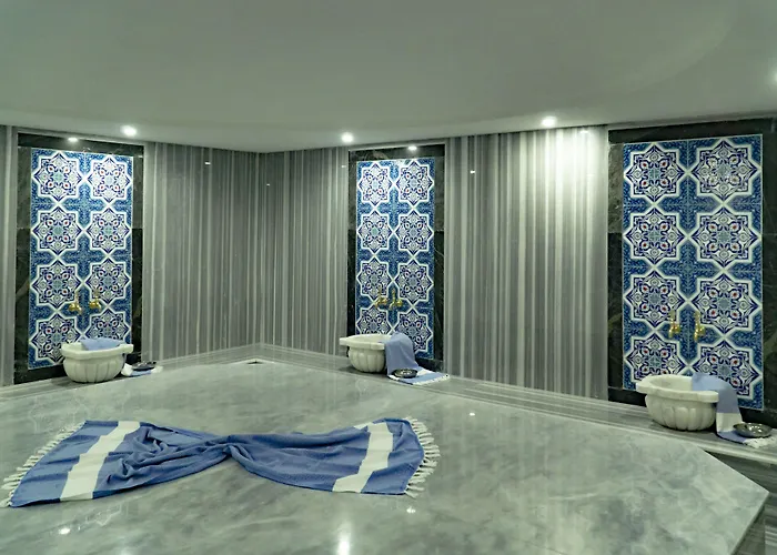 Hotel Angel's Park 4*